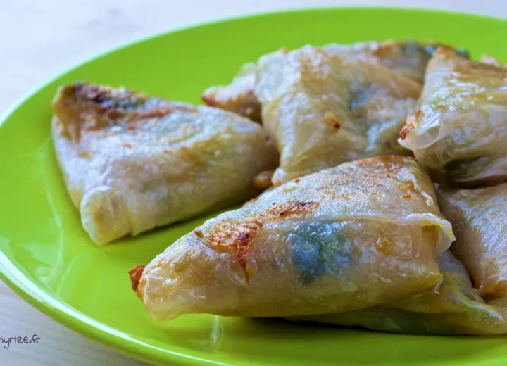 Samoussas sans gluten, au vromage et aux poireaux